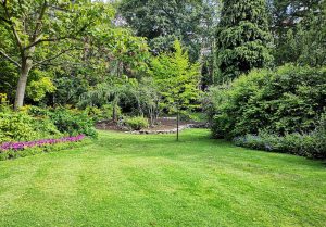 Optimiser l'expérience du jardin à Montenescourt